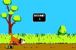 Duck Hunt