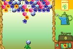 Flower Power