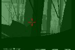 Jungle combat