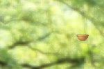 Tres nature